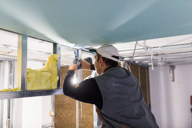 Best Residential Insulation in Tonka Bay, MN