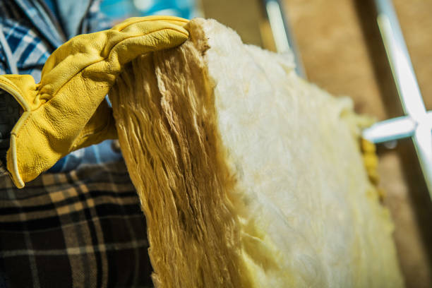 Best Insulation Installation Services in Tonka Bay, MN